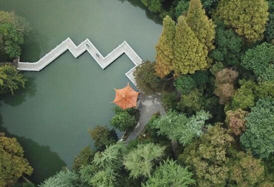 中国-新西兰自贸区联委会第六次会议在新西兰举行