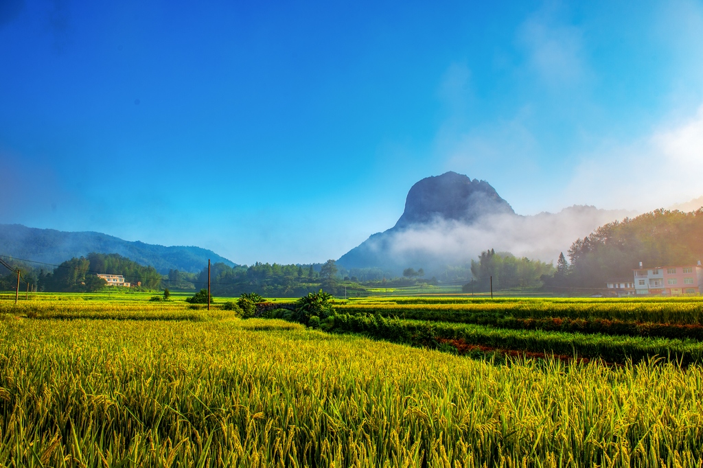 希望的田野 -田园风光 - 东南网