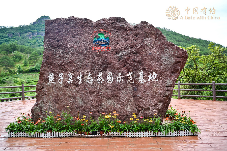 Ecological tea orchard helps increase farmers' income in SE China's Fujian Province