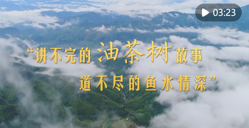 1677326937045.png 1677326937045.png