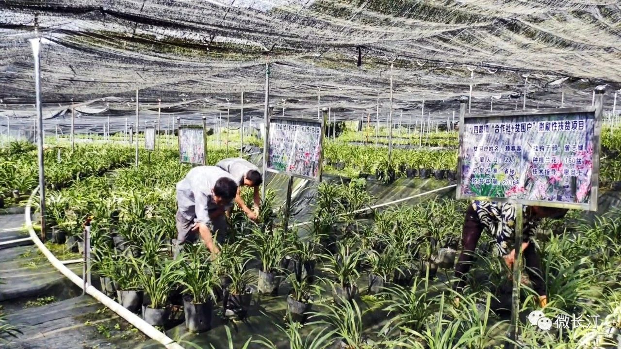 fd8744efa5b93863e5004973263e7f14.jpg fd8744efa5b93863e5004973263e7f14.jpg