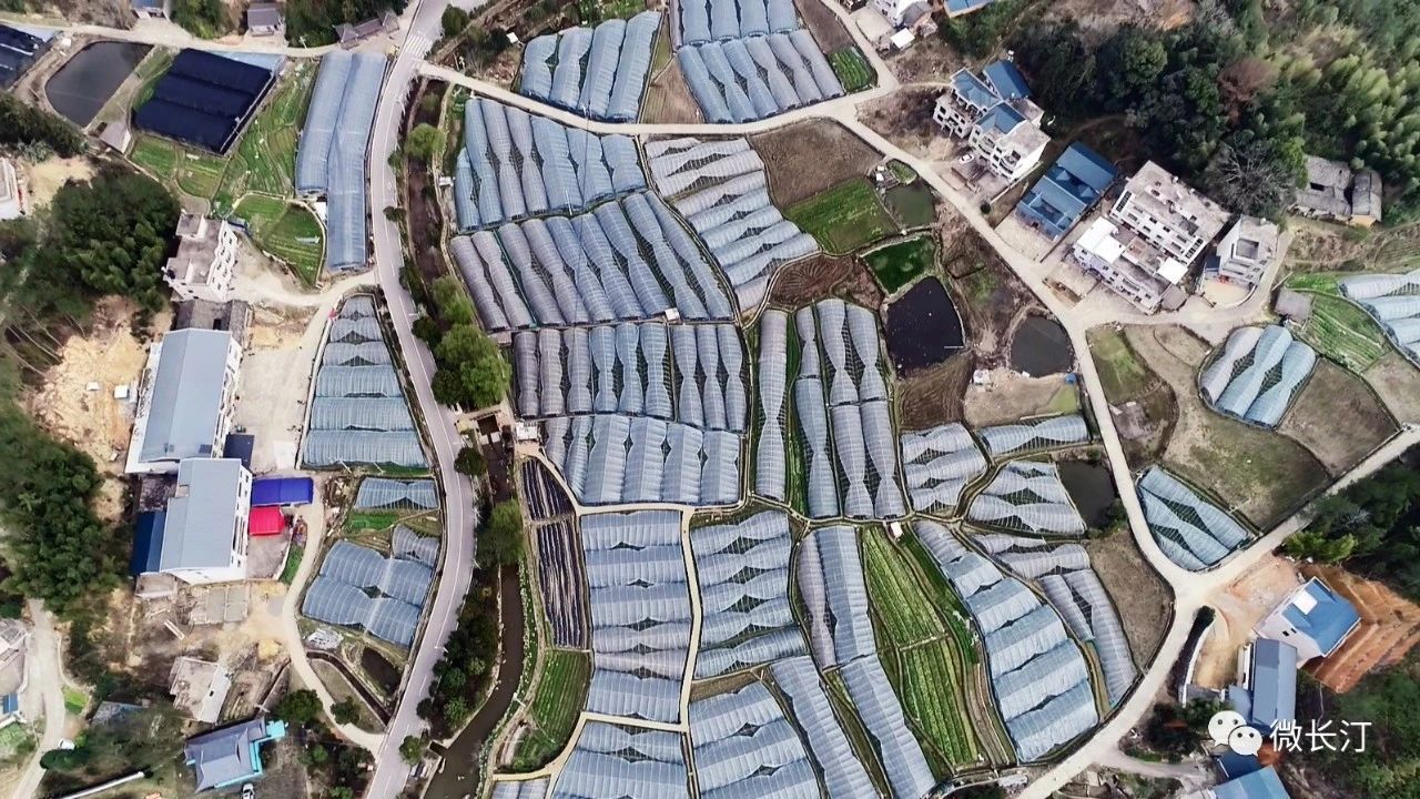 7239bc1e16b474122113bbbad174687c.jpg 7239bc1e16b474122113bbbad174687c.jpg