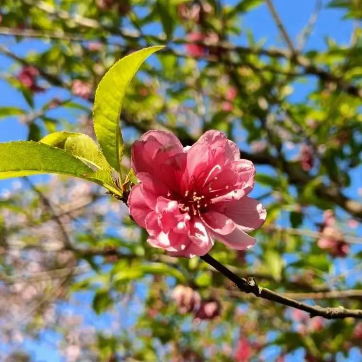 66bae6f92e92dbe03fc6719ec7a78643.jpg 66bae6f92e92dbe03fc6719ec7a78643.jpg