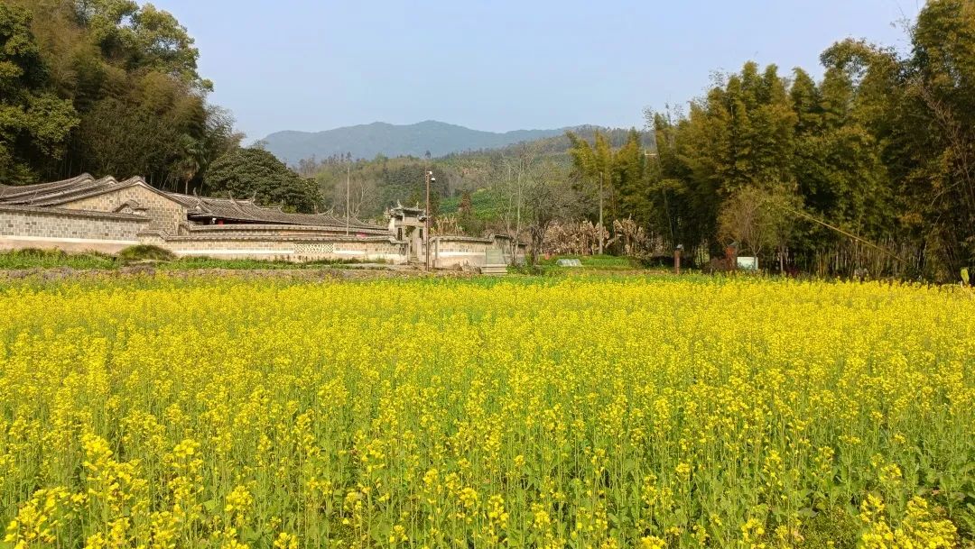 4ba989fe169c33d6292389a3fb5e604d.jpg 4ba989fe169c33d6292389a3fb5e604d.jpg