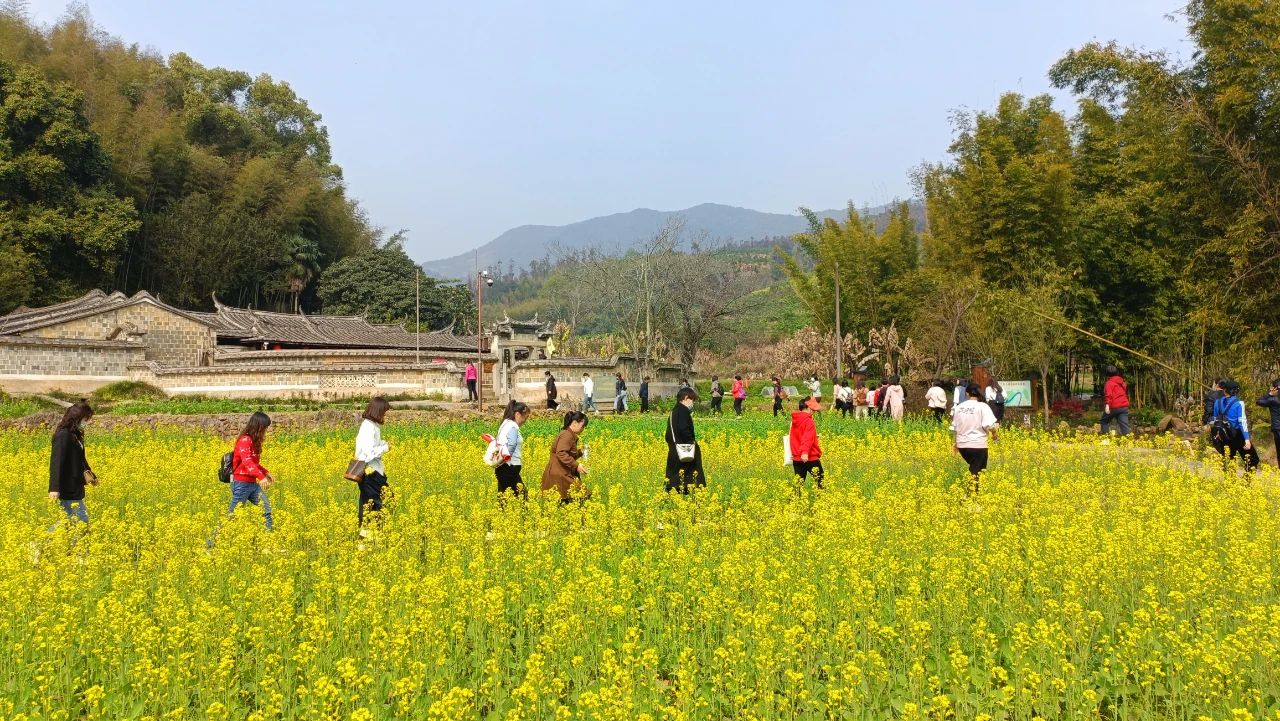 547749ce7c361f2dc2bfc2eddbf42b5d.jpg 547749ce7c361f2dc2bfc2eddbf42b5d.jpg