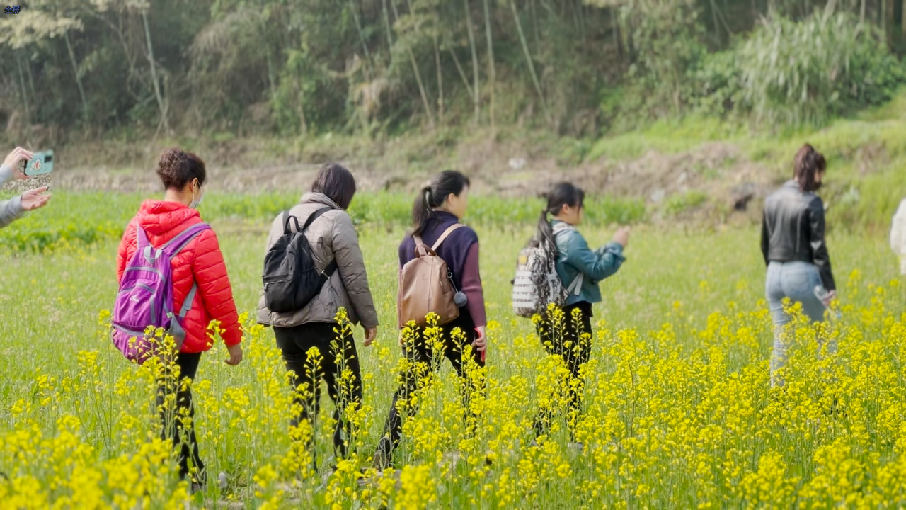 4f05eaa2d40719840404529d51a3136e.png 4f05eaa2d40719840404529d51a3136e.png