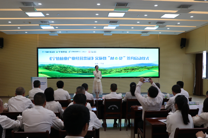 凭“票证”融资 宁德推出“林e贷”助推林业产业高质量发展