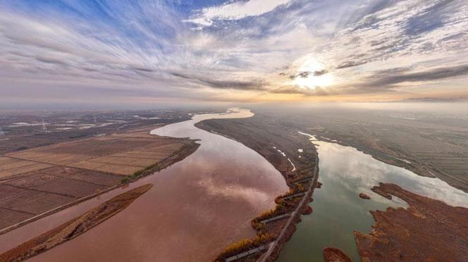 保护黄河湿地 守护候鸟家园