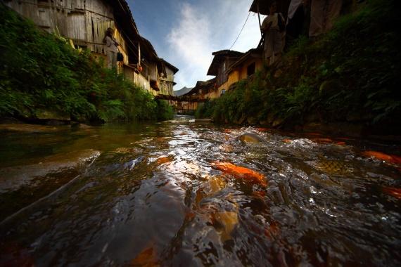 周宁县鲤鱼溪景区