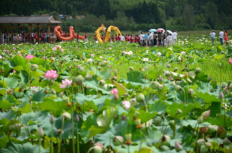 周宁县鲤鱼溪景区