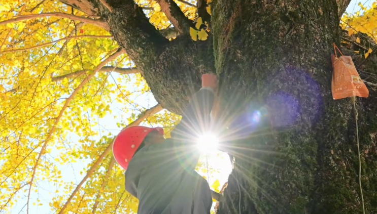 新華視點｜文旅消費提質升級 多地經濟煥發冬日新活力