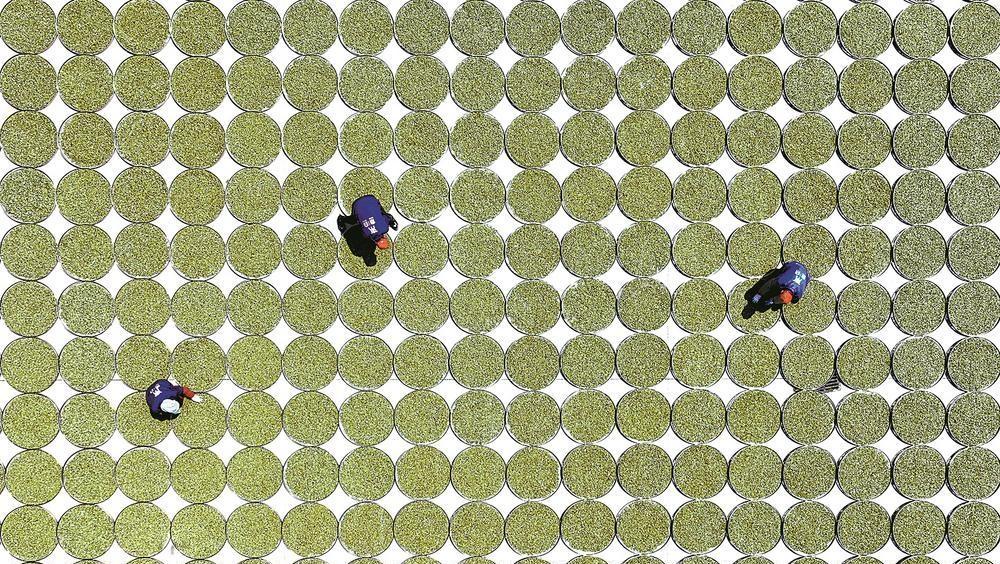 深读 | “地标示范区”何以赋能茶乡