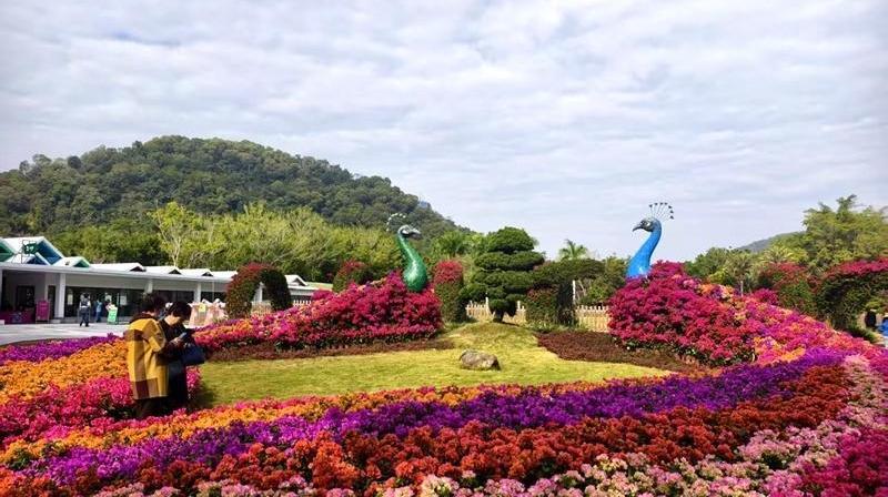 樹立“東南樣板” 2025年東南現代農博會·花博會開幕