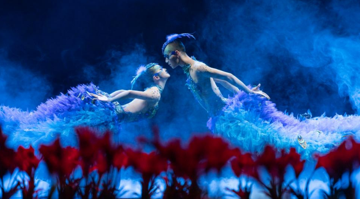 杨丽萍亲演《孔雀》本周将于海峡文化艺术中心精彩上演