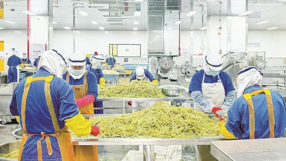 ��ƽ���������������˼ӹ�����