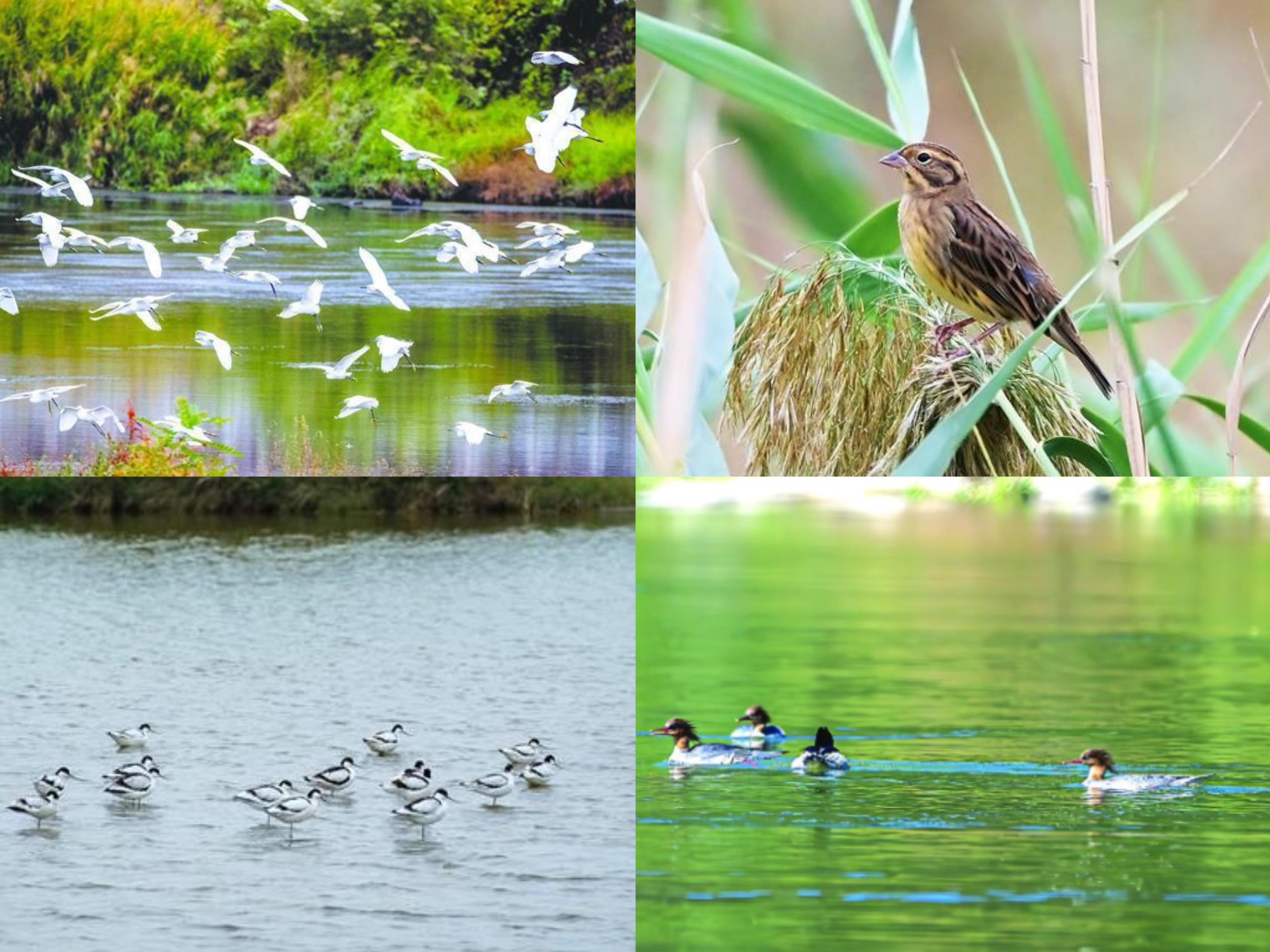 �����������͡����� ���ն��վ�������