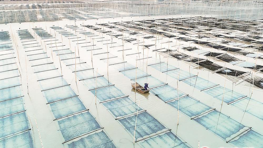 365bet�������ϲ˲�������