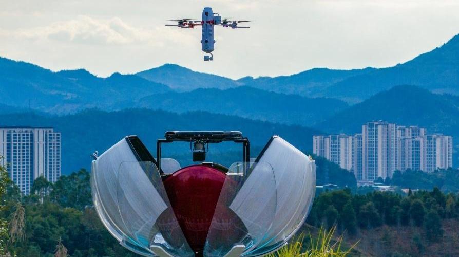 ��һ˫�ŵ�һȺ��ӥ�� ���븣���ǻ���ҵ�Ľ���֮·