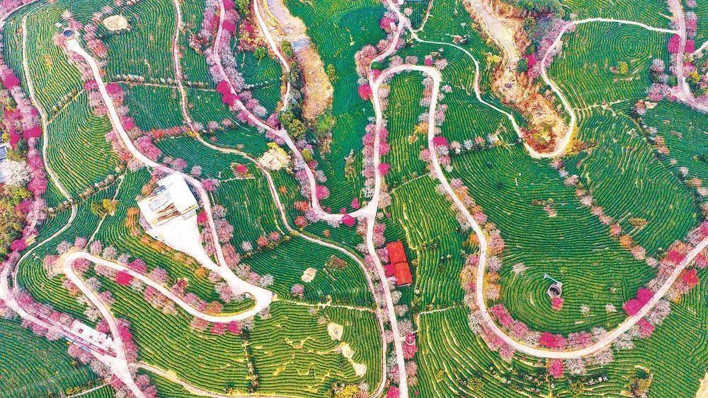 ��ƽ������̨Ʒӣ����԰��һ����ɫӣ����ǰ����