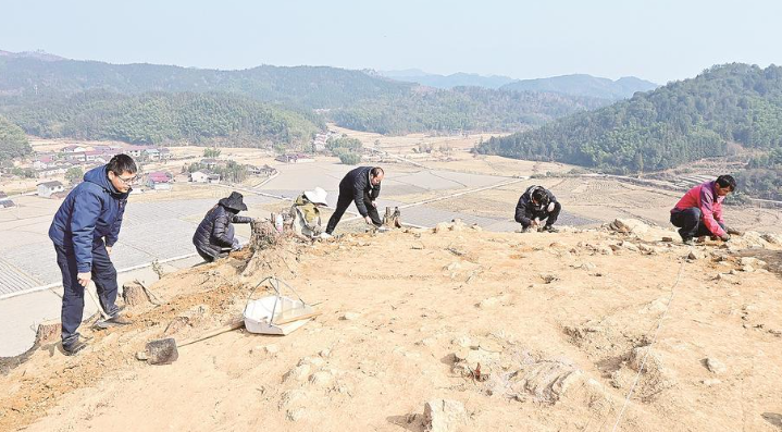 走进何家潭遗址，解锁七闽古国密码