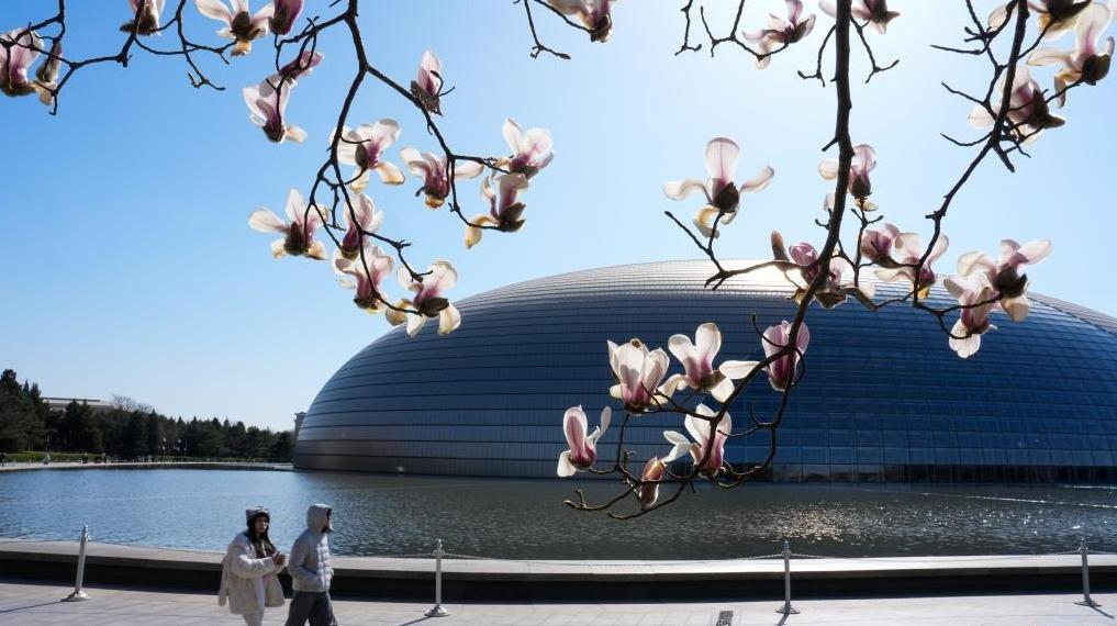 ������� ��������