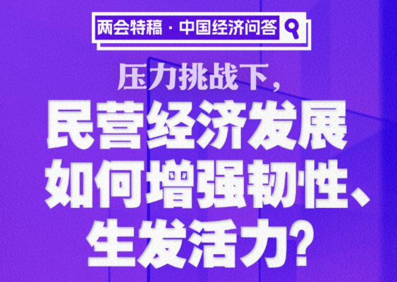 压力挑战下，民营经济发展如何增强韧性、生发活力？