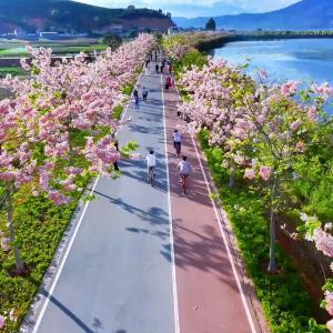 春日经济一线观察｜“踏青+”打造多元消费新场景