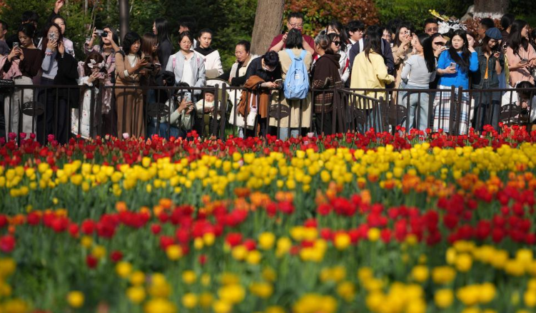 �����ͷ��ɫŨ