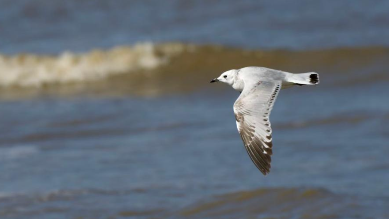 �ߣ����š����ѡ�ȥ�ּ�ˮ���ͷ���֮��