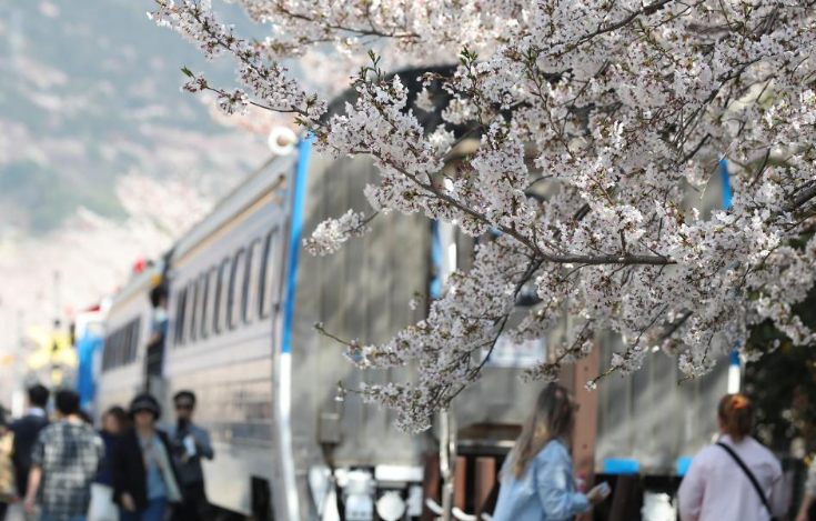 �����򺣣�ӣ��ʢ��