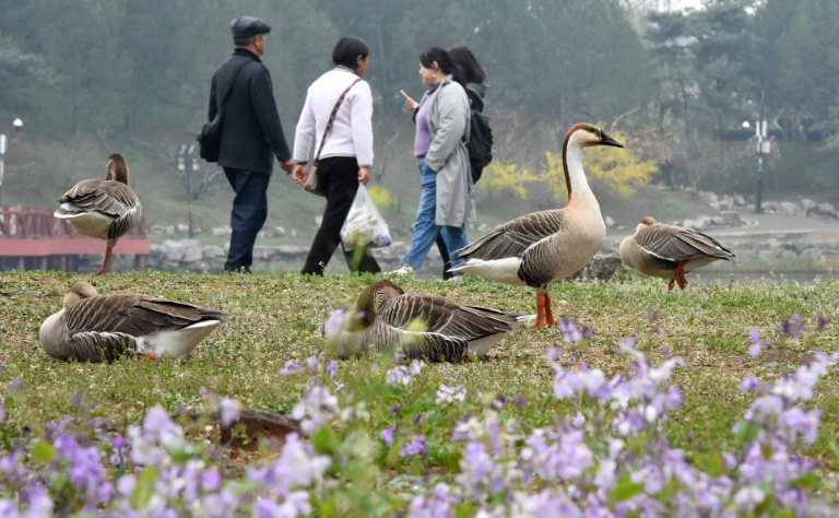 Բ��԰����ʮһ��̤��ڿ�Ļ