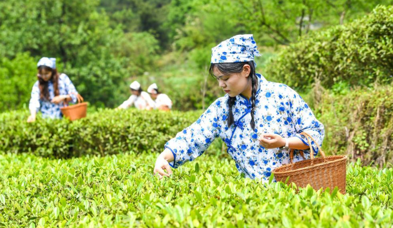 ����ᶼ��ǧ���������ʱ