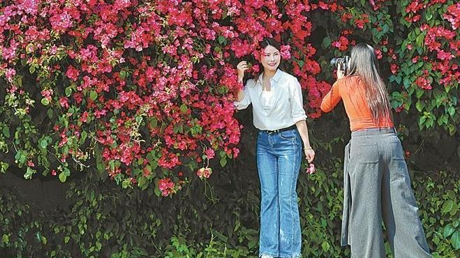 365�����ֻ��棺����ױ����