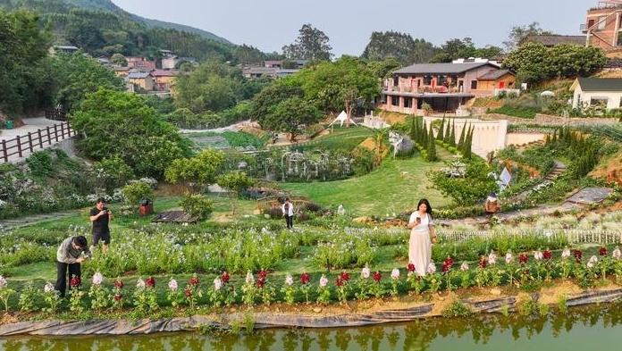 �����й������»���ح�ο��ǡ�Ԥ���� �����վ��á����Ȱ˹������г�