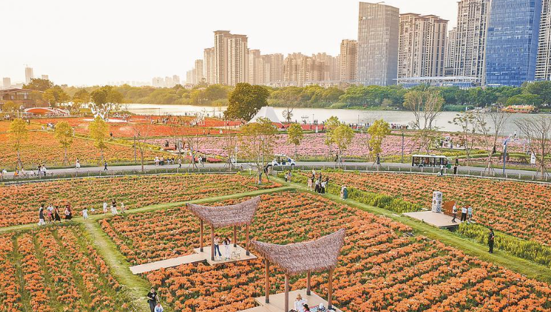 �������е��������¡�Ӱ�������ɷ������ݾٰ�