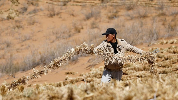 ����ݷ��� ������ɳæ