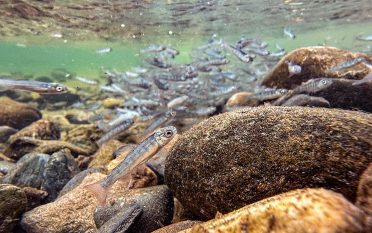 60��β�������ͼ�ǽ�