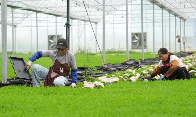 ���˼�ʻũ��������ͥ���ϴ�����ҵ