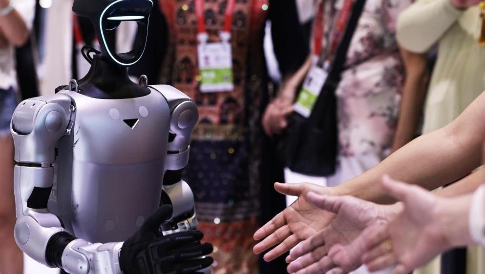 Ȩ�����ح��2026��һ���Ⱦ������ݿ����ÿ���