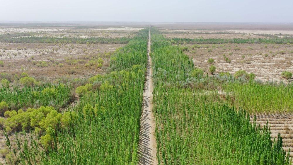 �½������ǡ��ࡢҩ������֯����ɫ���� ɳ��ҵ�����̸�ͬ��