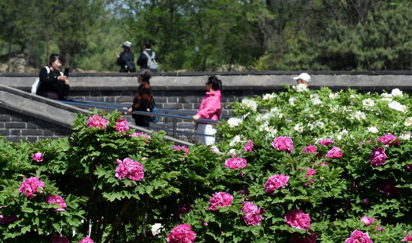 ����Բ��԰��������ĵ��