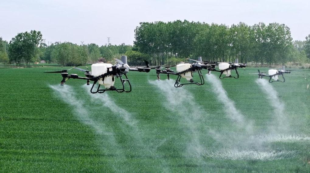 ɽ���ൺ��С�����ȫ���� ����ڶ�����������