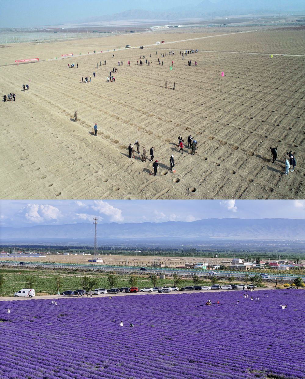 从太空看中国丨9年治荒天山脚下“戈壁生花”(图1)