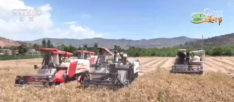 智慧“新农人”上阵服务夏管生产夯实粮食丰产丰收基础(图2)