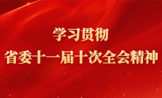 学习贯彻省委十一届十次全会精神