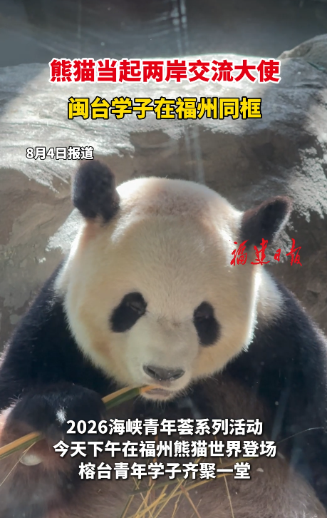 熊猫当起两岸交流大使，闽台学子在福州同框