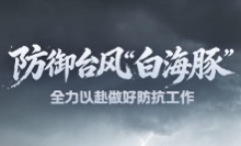 防御台风“白海豚”