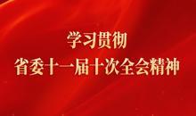 学习贯彻省委十一届十次全会精神