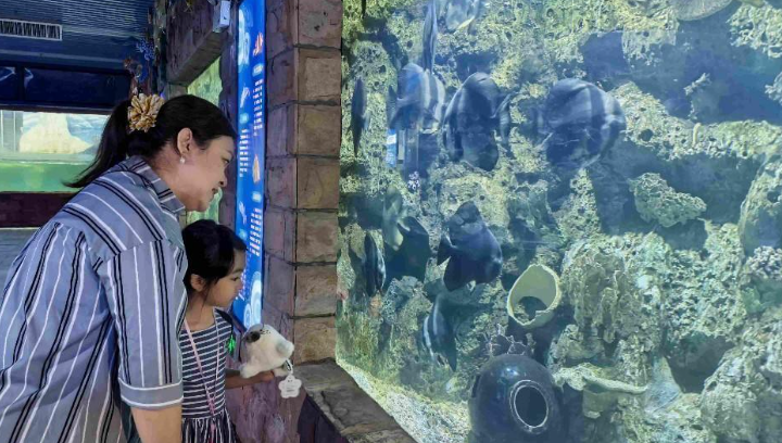 共赴蔚蓝之约！两岸同胞沉浸式海洋科普实践
