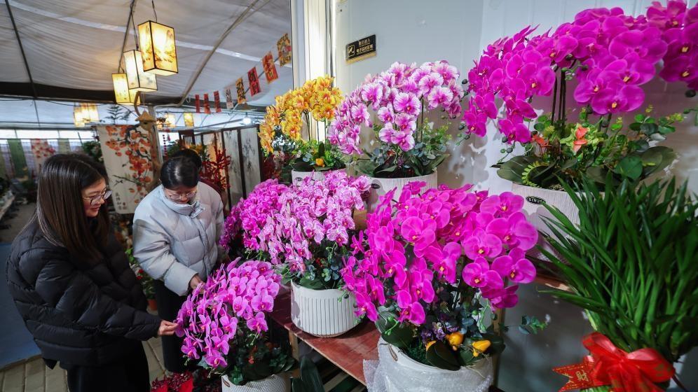 浙江绍兴：年宵花卉迎新年